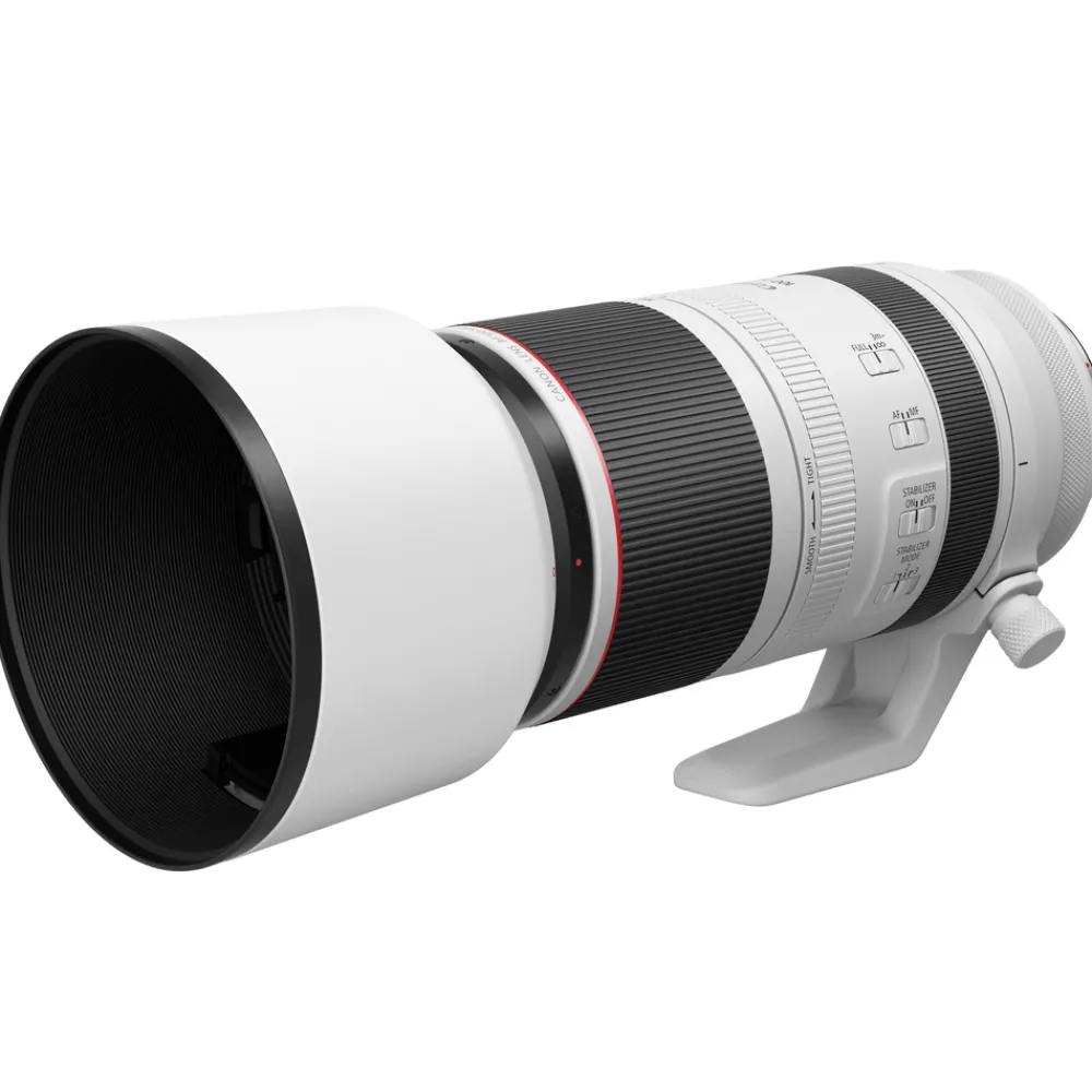 Online RF 100-500mm f/4.5-7.1 L IS USM Lens Zoom Lenses