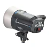 Outlet D-Lite 200Ws RX 2 Flash Head Monolight Strobe Heads & Kits
