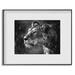 Discount 50 x 40 in. Maxine Masterpiece Digital Art Frame Frames Albums