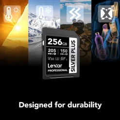 Outlet 256GB Professional SILVER PLUS UHS-I SDXC Memory Card Memory Cards|Memory Cards
