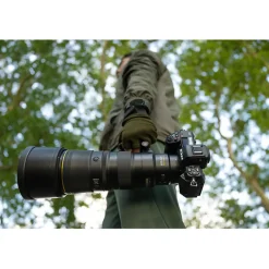 Best NIKKOR Z 600mm f/6.3 VR S Lens Telephoto Lenses