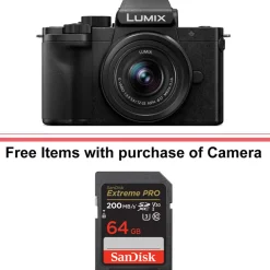 Clearance Lumix DC-G100 Mirrorless Micro Four Thirds Digital Camera with 12-32mm Lens (Black) Mirrorless