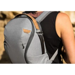 Fashion Everyday Backpack Zip (Ash, 15L) Camera Bags