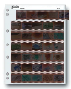 Hot 35-7B 35mm Negative Pages (Package of 25) Portfolios Archival Storage