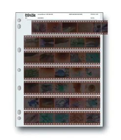 Online 35-7B 35mm Negative Pages (Pack of 100) Portfolios Archival Storage