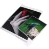 New BOPP811 - 8.5x11 in. Clear Bags (Pack of 100) Portfolios Archival Storage