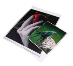 New BOPP811 - 8.5x11 in. Clear Bags (Pack of 100) Portfolios Archival Storage