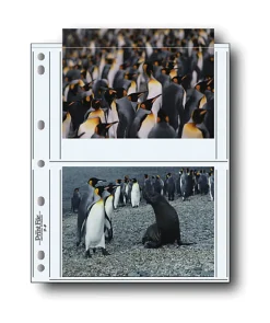 New 57-4P 5x7in. Photo Pages (25 pack) Portfolios Archival Storage