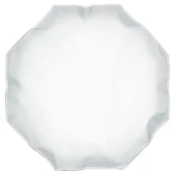 Discount 24 In. OCF Beauty Dish (White) Octagonal Soft Boxes