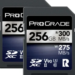 Clearance 256GB UHS-II SDXC Iridium Memory Card (2-Pack) Memory Cards|Memory Cards
