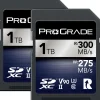 Outlet 1TB UHS-II SDXC Iridium Memory Card (2-Pack) Memory Cards|Memory Cards