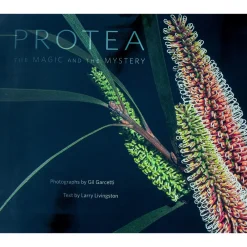 Clearance PROTEA: The Magic and the Mystery - Hardcover Book Books