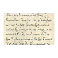 New 53 in. x 18 ft. Printed Background Paper (Romantic Script) Paper Backgrounds