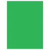 Best 10 x 20 ft. Infinity Lint Free Pro Cloth Background (ProChroma Green) Chroma Key Backgrounds