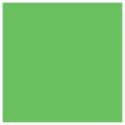Hot 10 x 24' Solid Muslin Background (Chroma Green) Chroma Key Backgrounds