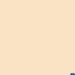 Hot 53" x 12yds Background Paper (#19 Egg Nog) Paper Backgrounds