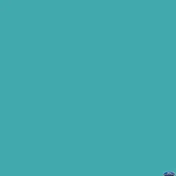 Outlet 53" x 12yds Background Paper (#68 Teal) Paper Backgrounds