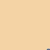 Online 53" x 12yds Background Paper (#25 Beige) Paper Backgrounds