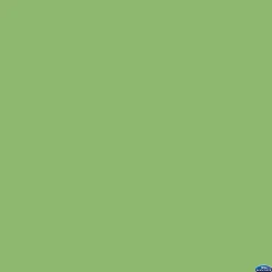 New 53" x 12yds Background Paper (#46 Tech Green) Paper Backgrounds