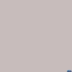 Best 53" x 12yds Background Paper (#61 TV Gray) Paper Backgrounds
