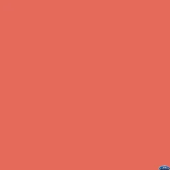 Clearance 53" x 12yds Background Paper (#82 Tangelo) Paper Backgrounds