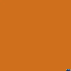 Fashion 53" x 12yds Background Paper (#17 Sienna) Paper Backgrounds