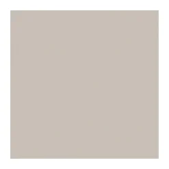 New Widetone Seamless Background Paper (#12 Studio Gray, 107 In. x 36 ft.) Paper Backgrounds