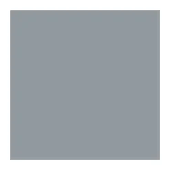 New Widetone Seamless Background Paper (#56 Fashion Gray, 107 In. x 36 ft.) Paper Backgrounds