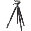 Discount Pro 700 DX Tripod with 700DX 3-Way, Pan-and-Tilt Head (Black) Tripod Kits