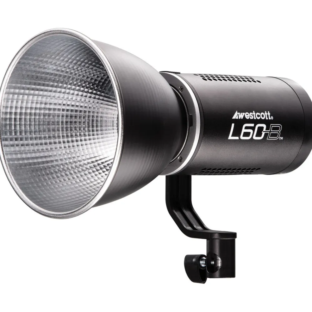 Hot L60-B Bi-Color COB LED (60W) Led Lights & Kits
